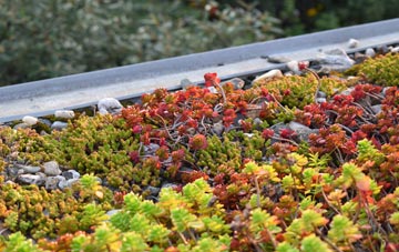 the cost of Fenton green roof installation