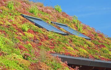 Fenton living roof systems