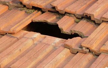 roof repair Fenton